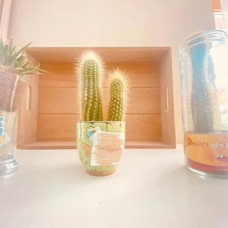Cocon Familial Apartment Laon Bagian luar foto