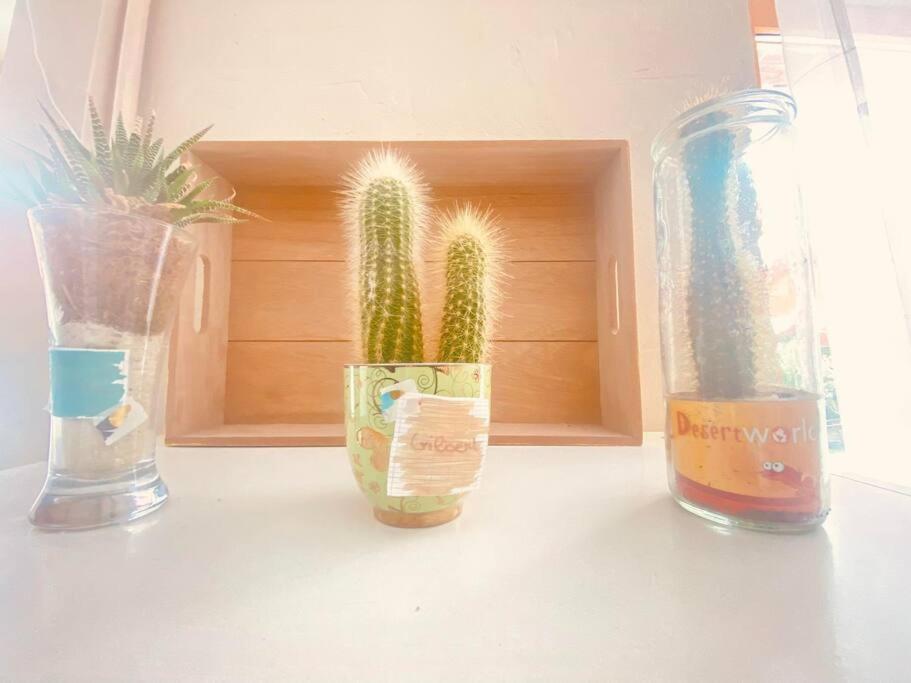 Cocon Familial Apartment Laon Bagian luar foto